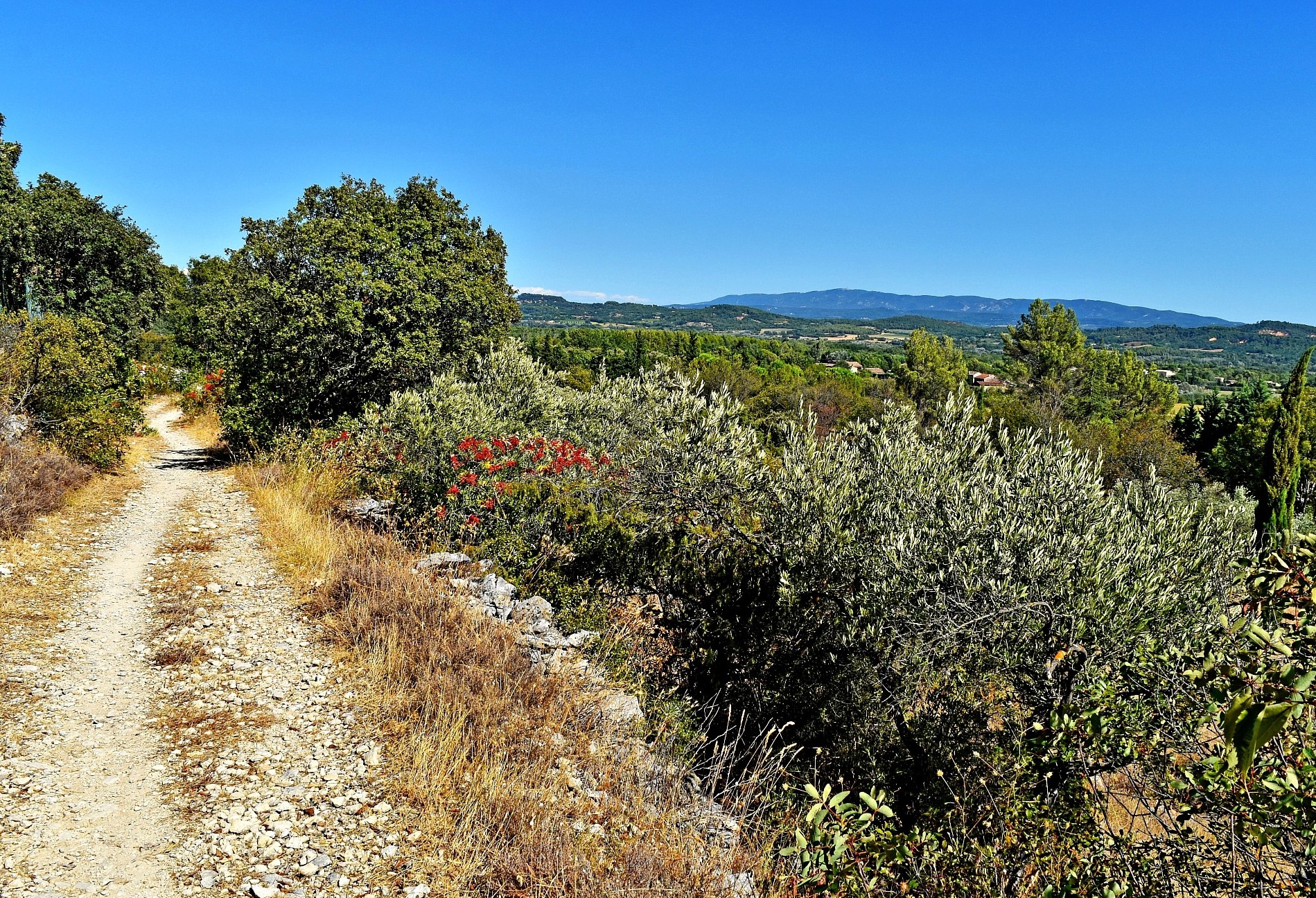 randonnée